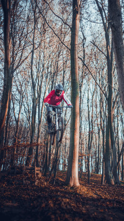 Riding on mtb bikes, downhill bikes in autumn forest on bike trails wish tricks and huge gaps and jumpsのeditorial素材