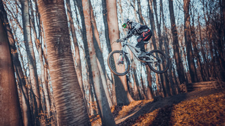 Riding on mtb bikes, downhill bikes in autumn forest on bike trails wish tricks and huge gaps and jumpsのeditorial素材
