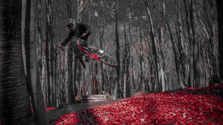 Riding on mtb bikes, downhill bikes in autumn forest on bike trails wish tricks and huge gaps and jumpsのeditorial素材