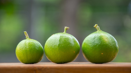 lemons on wooden tableの写真素材