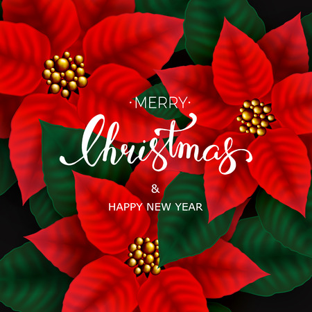 Christmas card with Poinsettia Flowers and hand lettering on black background. Vector illustrationのイラスト素材