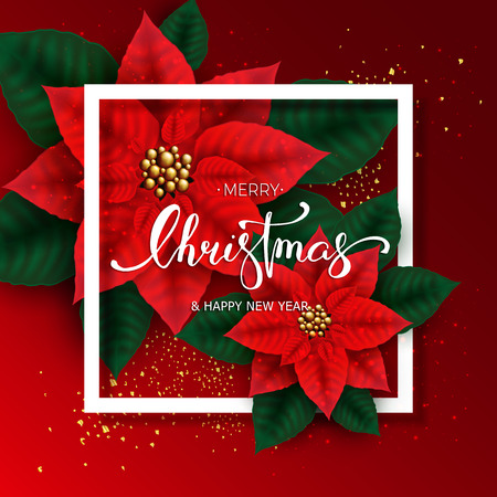 Christmas card with Poinsettia Flowers and hand lettering on red  background. Vector illustrationのイラスト素材