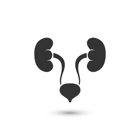 Urinary system vector icon isolated on white backgroundのイラスト素材