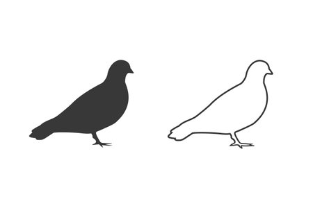 Vector pigeon silhouette icon set on whiteのイラスト素材