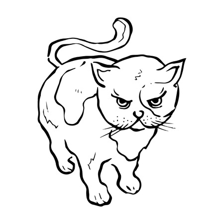 Angry Kitty Line Drawingのイラスト素材