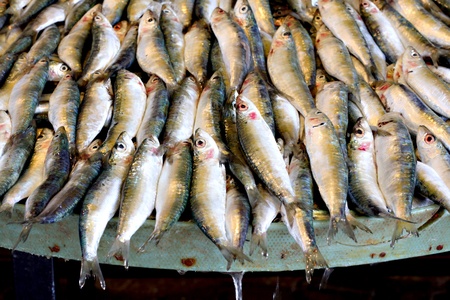 Freshly caught fish for sale at Turkish street marketの写真素材