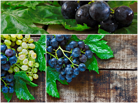 Collage of succulent green and black grapesの写真素材