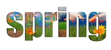 Colorful spring images inside spring text on a white backgroundの写真素材