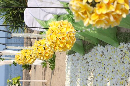 Wedding Aisle Decoration with white roseの写真素材