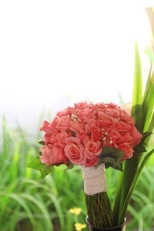 Fresh Pink Rose Hand Bouquetの写真素材