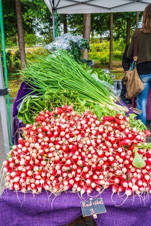 Display of delicious looking fresh raw red radishes for sale at local farmers marketの写真素材