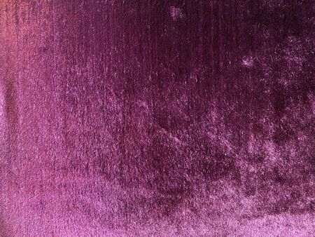 purple carpet. Background or texture.の写真素材