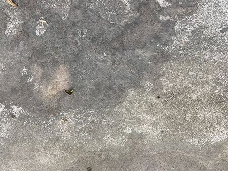 Gray polished cement. Background or texture.の写真素材