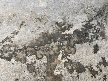Cement with moss. Background or texture.の写真素材