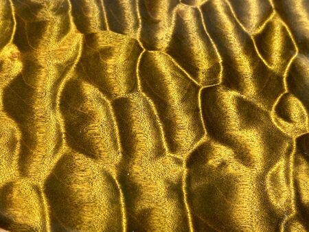 Yellow quilted maple wood. Background or texture.の写真素材