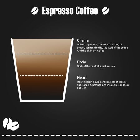 Infographic Espresso components, Espresso coffee has been available for more than 40 years. Can print the image as a shop decoration or give information in a coffee shop. Illustration and vector.
のイラスト素材