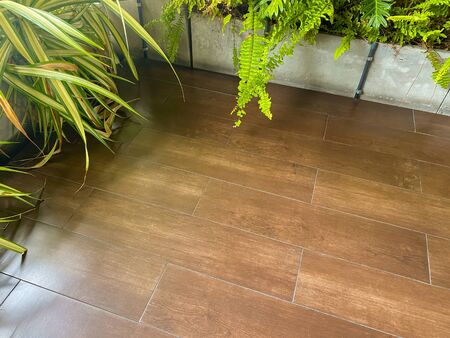 A relaxing corner in a garden-style in a coffee shop surrounded by colorful trees. There is a light splashing light to the left Giving a fresh feeling Refuel during the lunch break with copy space.の写真素材