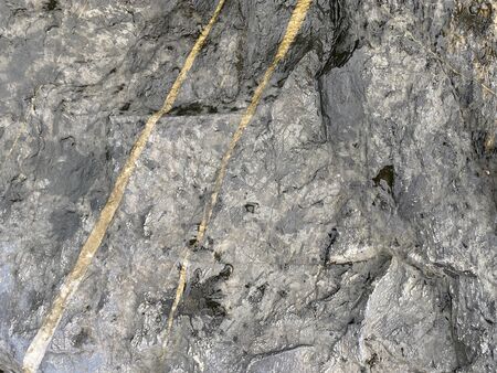 Close-up shot of a large rock with a black and gold line dividing beside the sea that has been eroded by the sea until it is beautiful for artwork or graphic design. wallpaper, background or backdrop.の写真素材
