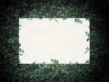 green floral flat background with white frame banner Exotic design for cosmetics, health care...
