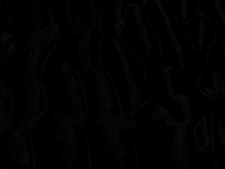 The black background of solid quilted maple wood pattern Mysterious and luxury looks with copy space. Wallpaper or backdrop for black Friday or announce, product, texture.の写真素材