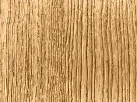 Authentic solid ash wood, natural color has a beautiful deep stripe, popular in guitar making and furniture. Home Decor with copy space. wooden wallpaper, background or texture.の写真素材
