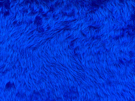 Close up abstract Fluffy Navy Blue wool texture and background, cotton wool. Fashionable color.Decorative dyed sheepskin with copy space.の写真素材