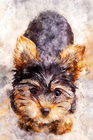 Adorable Yorkie Puppy in Watercolor Paintの写真素材