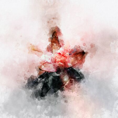Abstract Red Lilly Flower Watercolor painting. Vibrant red and Black.の写真素材