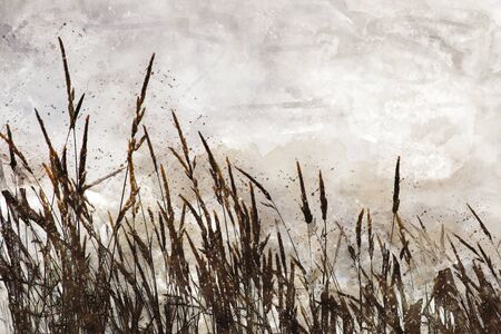 Watercolor painting of grass blowing in a field.の写真素材