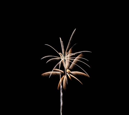 Sparkle fireworks in night sky on Fourth of July Independence day holiday United State of America. Celebration of fun and freedom with sparklers and sparkles.の写真素材