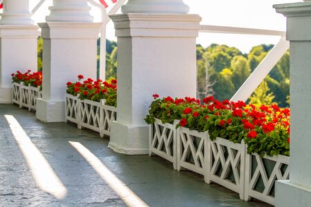 White Flower Box with Red Geranium Flowers on long porch of Grand Hotel, Michigan.の写真素材