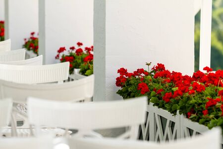 Geranium Flowers on Balcony at Restaurant with White Chairs and Tablesの写真素材