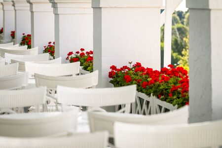 Geranium Flowers on Balcony at Restaurant with White Chairs and Tablesの写真素材