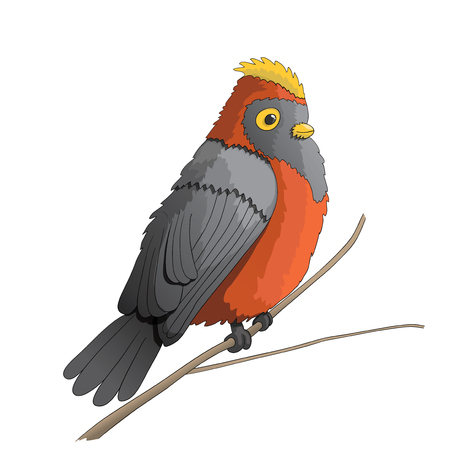Funny cartoon bird character illustration, vector, EPS10のイラスト素材