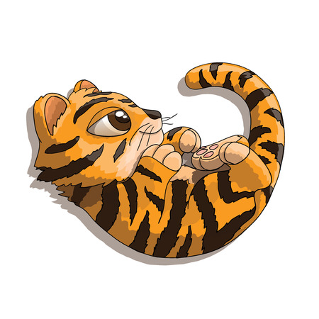 Cute furry tiger cub cartoon character playing with his tailのイラスト素材
