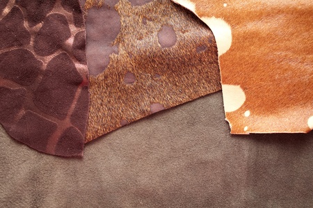 leather samples の写真素材