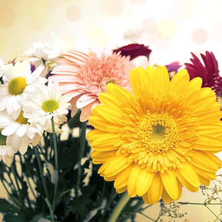 Various beautiful flowers on a pastel backgroundの写真素材