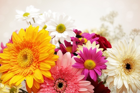 closeup view of colorful flowersの写真素材
