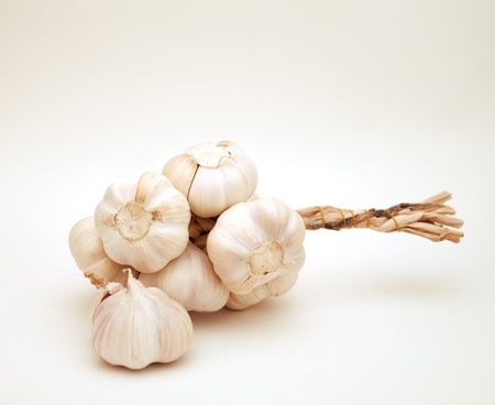 bunch of garlic over white backgroundの写真素材