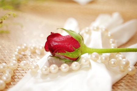 rose and pearls with vintage glove の写真素材
