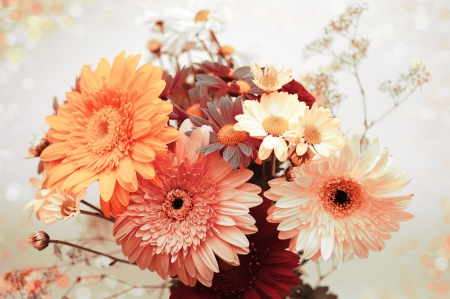 vintage flowers の写真素材