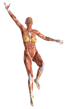 3D female medical figure jumping rendered illustrationの写真素材