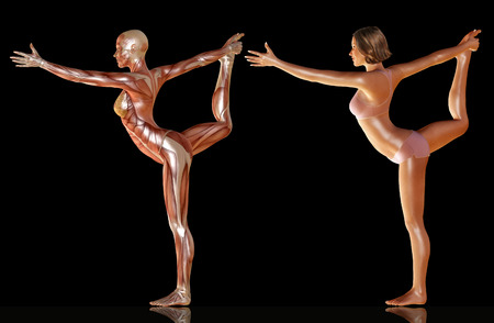 3d render of woman body with muscle anatomy doing yoga illustrationの写真素材
