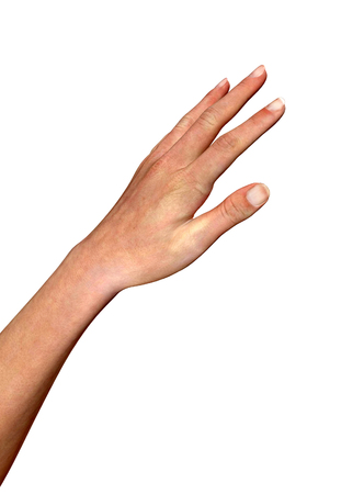 3d render of afemale hand isolated on whiteの写真素材