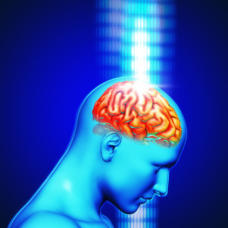 3d rendering of a human head with highlighted brain  on technology background