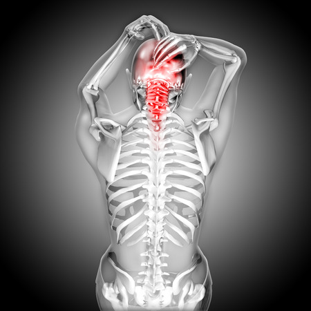 3D render of a female figure  with head and neck painの写真素材