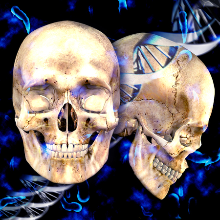 3d dna medical background with skulls and virus cellsの写真素材