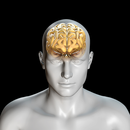 3D  medical background with male figure with brainの写真素材