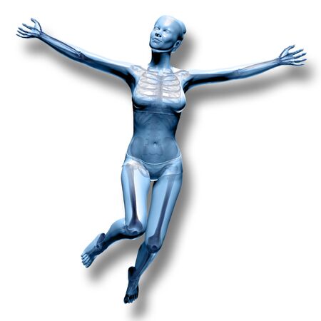 3d medical image with skeletonの写真素材