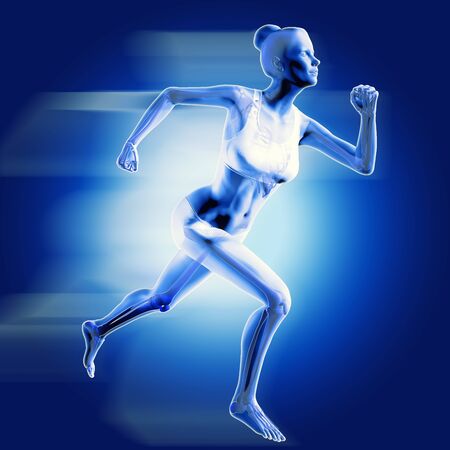 3d medical image with skeletonの写真素材
